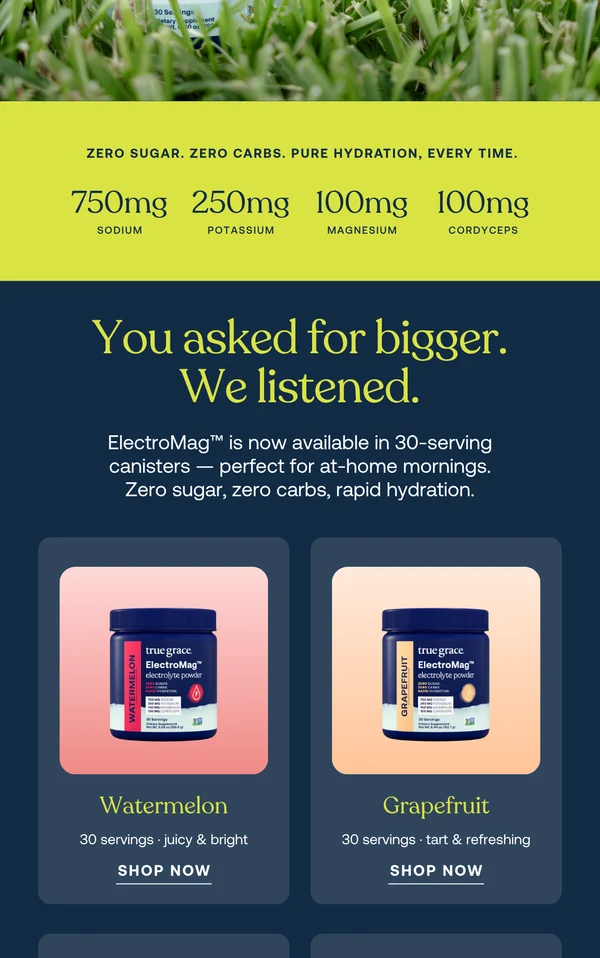 Middle third of the same email: a lime spec bar with four mineral quantities, a section heading and the first two flavour cards